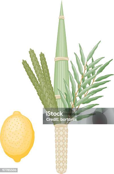 Lulav And Etrog Stock Illustration - Download Image Now - Citron, Close-up, Color Image
