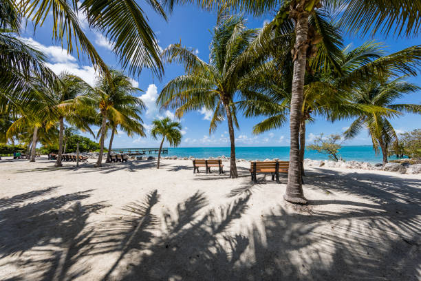 Florida Keys beach view pre Hurricane Irma