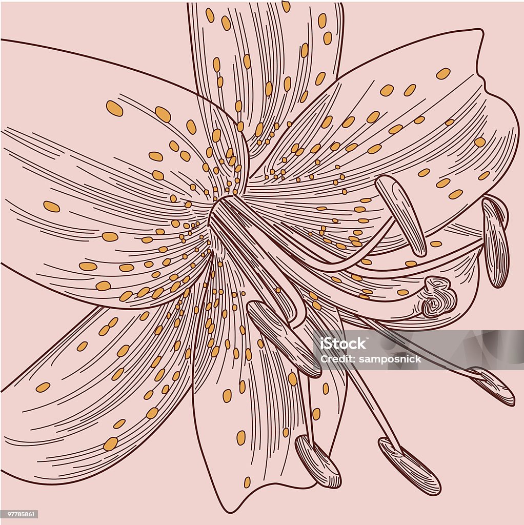 Antique Lily Vintage-looking line art of a lily on a faded background. Art And Craft stock vector