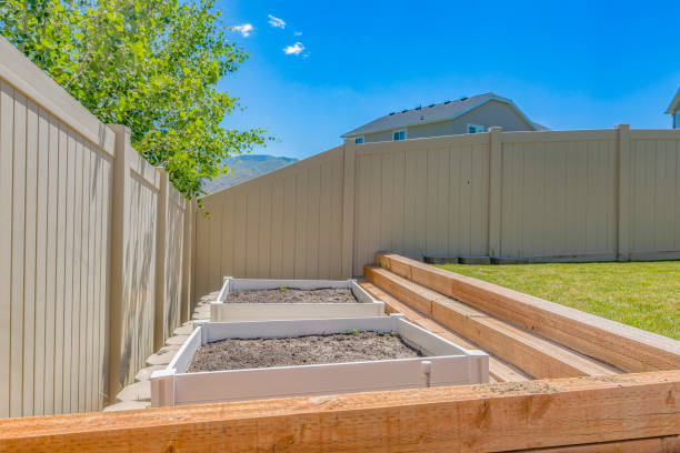 istock Empty growbeds in clean backyard with lawn 977858766