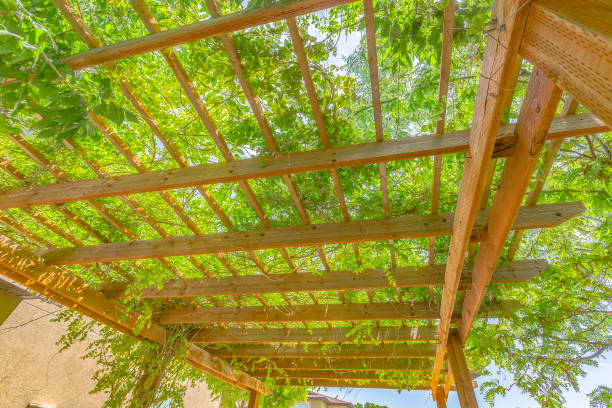 istock gazebo covered in green in Utah 977859794