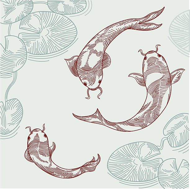 Koi Fish in Pond vector art illustration