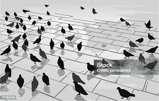 Pigeons In The Square Stock Illustration - Download Image Now - Bird, Pigeon, Large Group Of Animals
