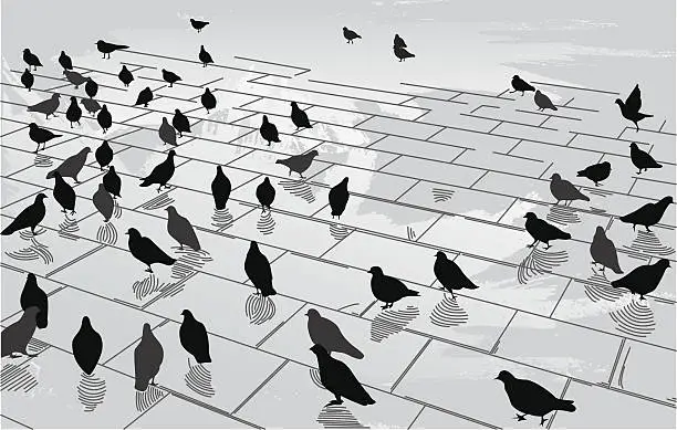 Vector illustration of Pigeons in the Square