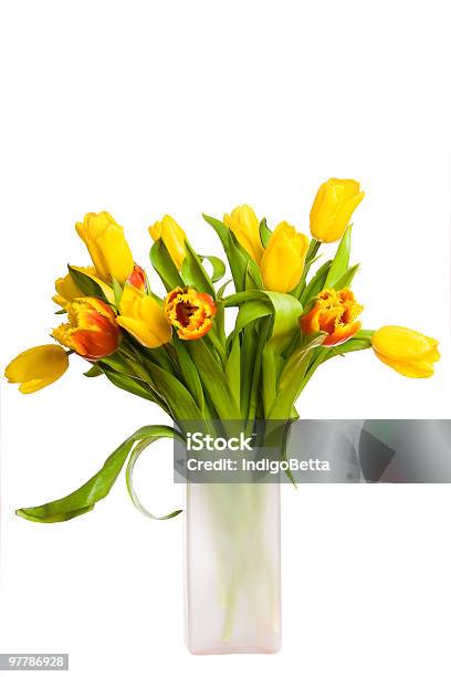 Photo libre de droit de Bouquet De Tulipes Du Printemps banque d'images et plus d'images libres de droit de Arbre en fleurs - Arbre en fleurs, Beauté, Beauté de la nature