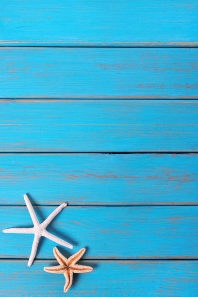 istock Starfish old weathered blue beach wood deck background vertical 977874270