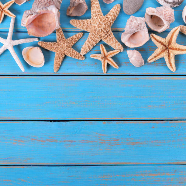 istock Tropical beach summer starfish background border square 977875508