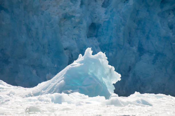 istock Alaska ocean and mountains 977882924