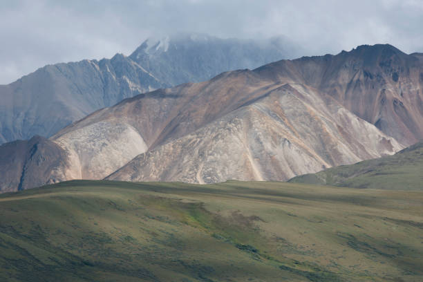 istock Alaska mountains oceans and wildlife 977942934