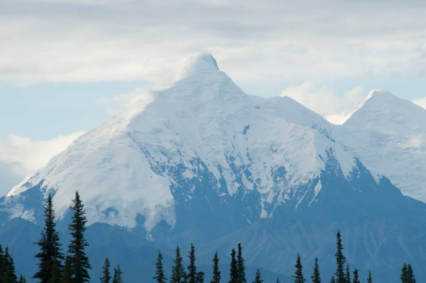 istock Alaskan wild life mountains plants and ocean 977959124