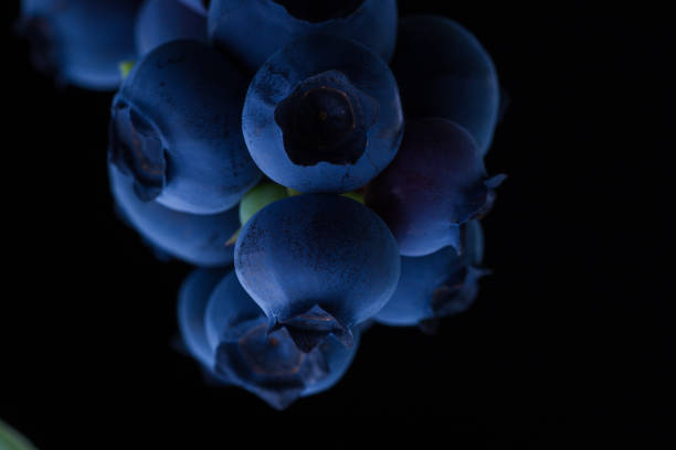 Blueberries
