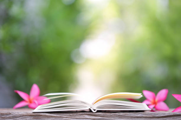 istock Pink Plumaria flower and notebooks 977984960