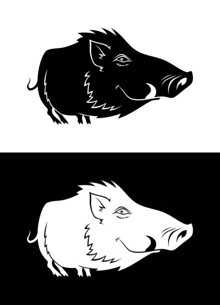 illustrations, cliparts, dessins animés et icônes de silhouette de drôles de sanglier - warthog wild animals animals and pets animal