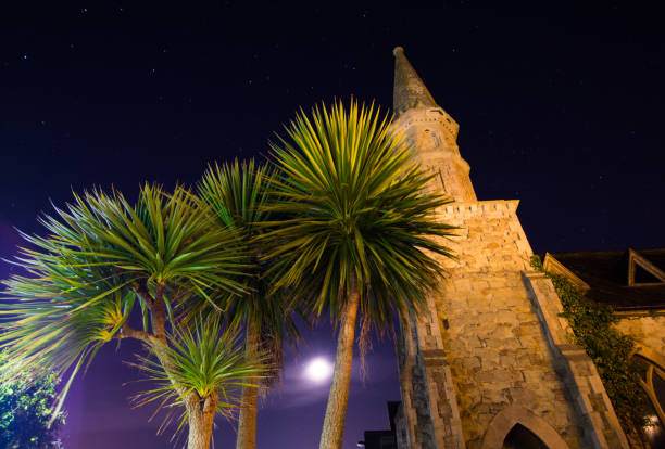 istock Full Moon Behind Church and Palm Trees 978018418