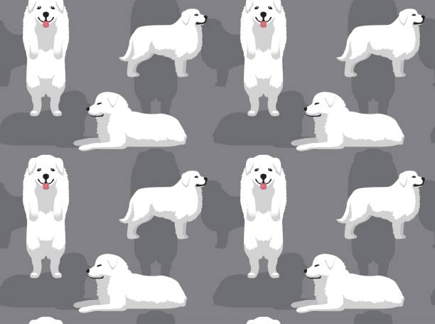 illustrazioni stock, clip art, cartoni animati e icone di tendenza di sfondo grandi pirenei cane sfondo sfondo senza soluzione di continuità - pyrenean