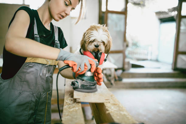 istock Female Carpenter Sanding Planks While Dog Inspector Watches 978039626