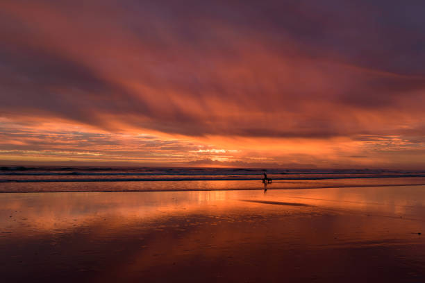 istock Muriwai Beach at sunset time with colorful clouds 978059044