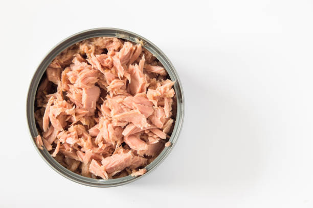 canned tuna isolated on white / canned soy free albacore white meat tuna packed in water / open tuna tin on a white background / tuna fish isolated on white - tuna chunks imagens e fotografias de stock
