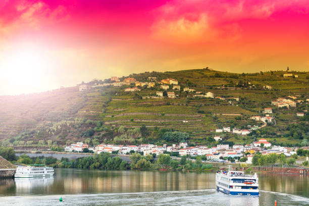 istock Travel in River Douro region 978066600