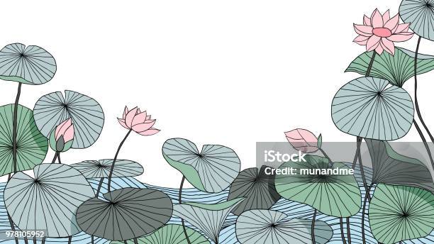 Hand Drawn Lotus Flowers With Leaves On Water Background Stock Illustration - Download Image Now