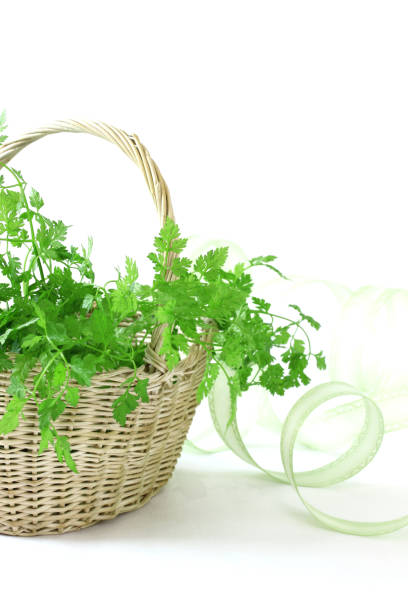 vert bouquet de cerfeuil - chervil healthy eating healthy lifestyle studio shot photos et images de collection