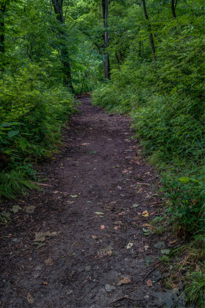 One of the beautiful places in the KC area to hike and explore