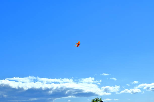 istock Colorful bright kite in the blue sky on spring day, close-up 978141368