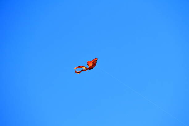 istock Colorful bright kite in the blue sky on spring day, close-up 978141410