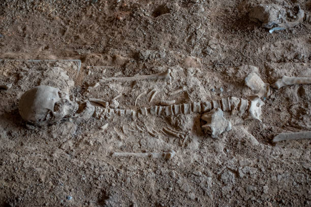 istock Open Cemetery. Human bones. Ayutthaya. Thailand. 978146560