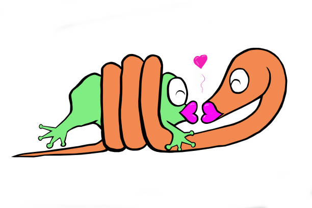 10+ Snake Eating Frog Stock Illustrations, Royalty-Free Vector Graphics
