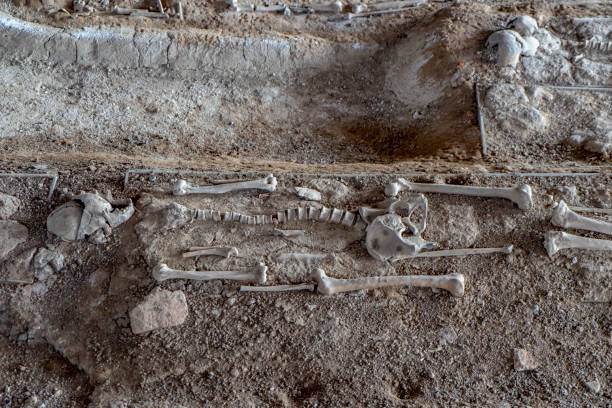 istock Open Cemetery. Human bones. Ayutthaya. Thailand. 978175728