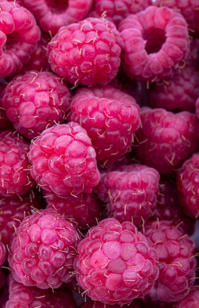 istock Background with fresh sweet raspberries. 978178860