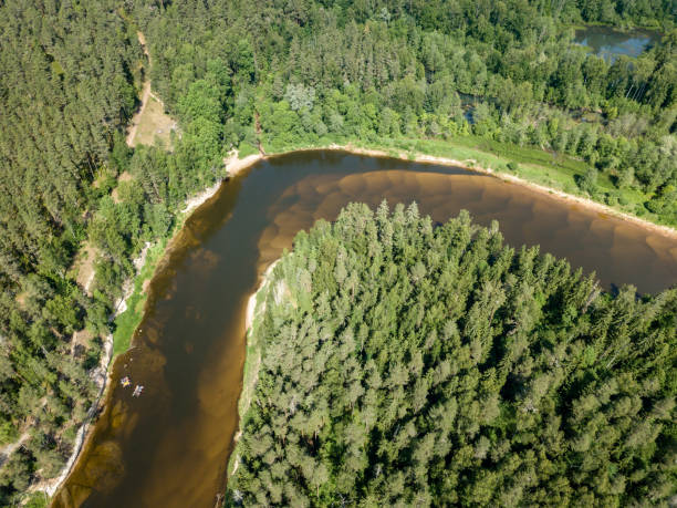 istock drone image. aerial view of snake river in deep green forests 978203554