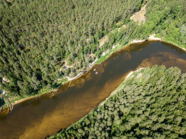 istock drone image. aerial view of snake river in deep green forests 978203620