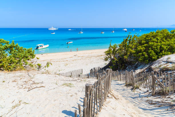 Path to Saleccia beach with white sand and azure sea water near Saint Florent, Corsica island, France Corsica is the largest French island on Mediterranean Sea and most popular holiday destination for French people. corsica photos stock pictures, royalty-free photos & images