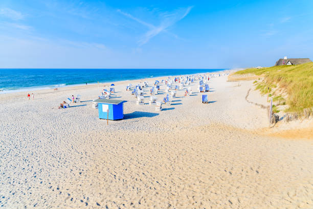 istock Wicker chairs on white sand Kampen beach, Sylt island, North Sea, Germany 978242190