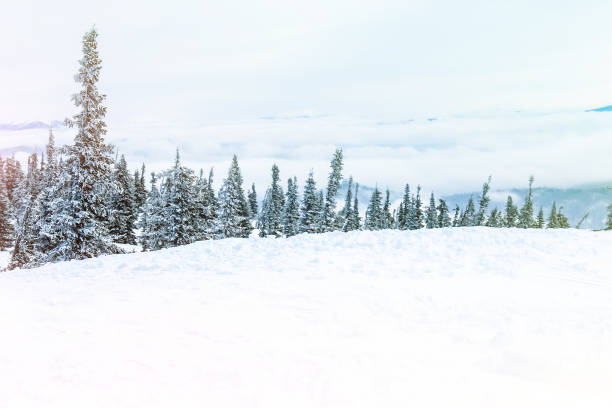 istock winter landscape with snow covered mountain forest 978249370