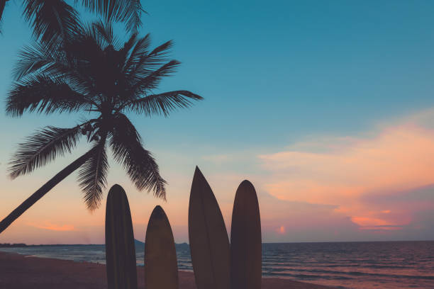 istock surfboard on tropical beach at sunse 978258984