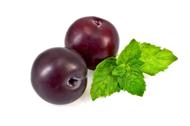 istock Plums with a sprig of mint 978261868