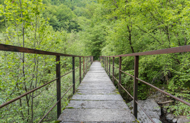 istock Cement and metal bridge in a forest Wildlife abandoned 978268408