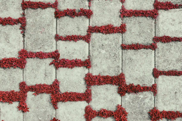 fondo retro de azulejos concretos con las plantas rojas - seam horizontal full frame outdoors fotografías e imágenes de stock