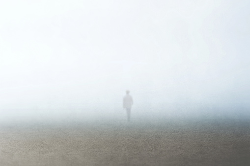 Deserted road in the fog between trees and a boudary wall