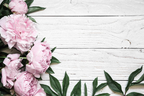 pink peony flowers over white wooden table with copy space. wedding invitation.
