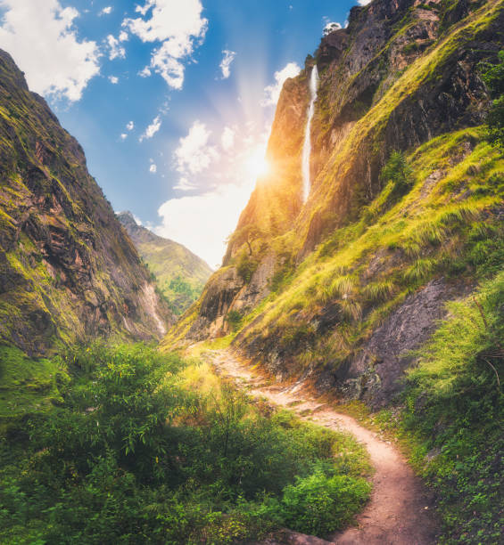 istock Himalayan mountains covered green grass, high waterfall, beautiful path, green trees, blue sky with yellow sun and clouds in Nepal at sunset. Mountain canyon. Summer travel in Himalayas.Landscape 978321610