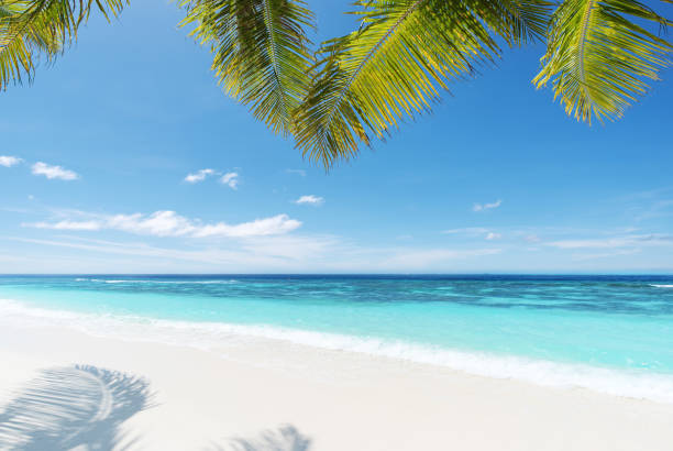 istock Tropical Paradise Beach Idyllic Landscape 978326882