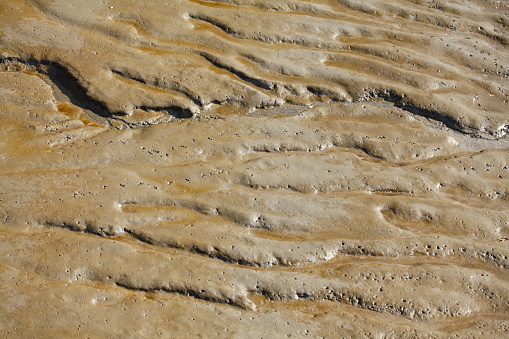 Brown silt in a river at low tide