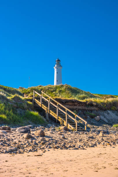 istock Seashore, beach, lighthouse and staircase in Hirtshals, Denmark 978335508