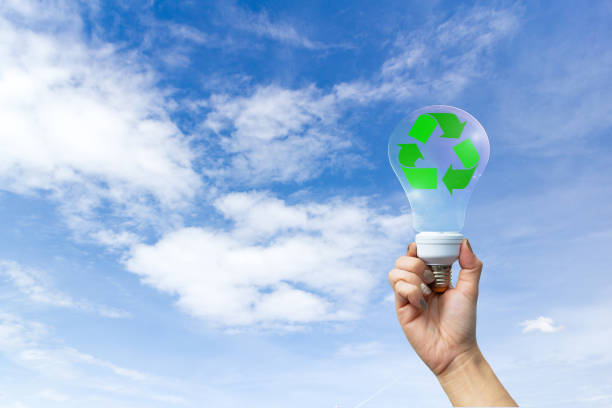 istock recyclable environment human hands holding big plant tree in light bulb with 978339974