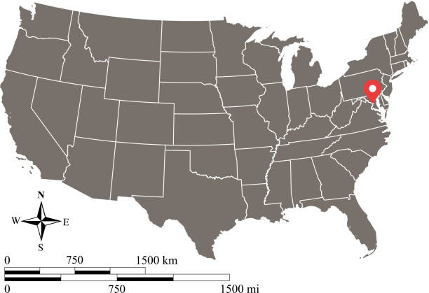 미국 지도 마일 규모입니다. 미국 지도 킬로미터 규모입니다. 미국 자본 위치, 워싱턴 dc와 벡터 개요 회색 배경 지도 - 노스캐롤라이나 미국 주 stock illustrations