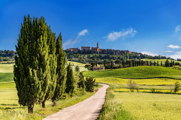 włoski krajobraz z miastem pienza na wzgórzu w toskanii - pienza tuscany italy landscape zdjęcia i obrazy z banku zdjęć